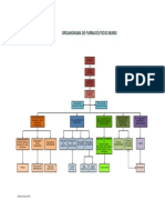 Organigrama Funcional PDF