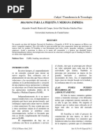 Branding para La Pequeña y Mediana Empresa PDF