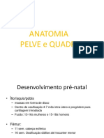 Anatomia Pelve e Quadril