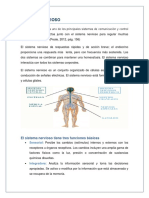 Sistema Nerviosos 1