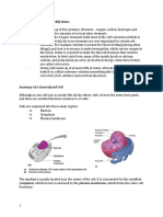 Chapter 3 Û Cells