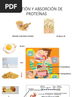 Abrosción de Peptidos