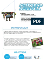 Exposicion Agricola