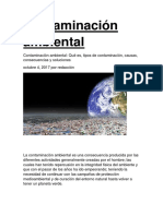 Contaminación Ambiental