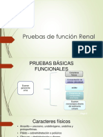 Pruebas de Funcion Renal