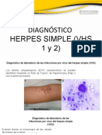 Herpes Virus Expo Borrador