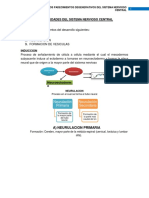 Sistema Nervioso Central Antología