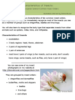 Howtorecognizeinsects PDF