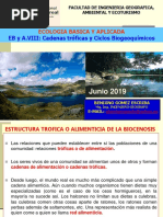 CLASE2019-VIII-Cadenas Troficas y Ciclos Biogeoquimicos 4