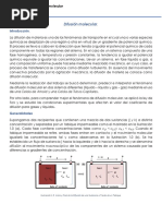 Reporte Difusion Molecular