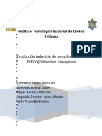 Produccion de Penicilina (Ingeniería de Procesos)