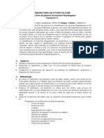 Informe # 3 Identificación de Géneros de Bacterias Fitopatógenas