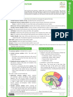 Nervous System
