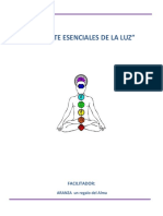 Los Siete Esenciales de La Luz B