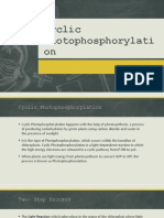 Cyclic Photophosphorylation