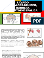 Liquido Cefalorraquideo y Barrera Hematoencefálica