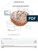 Organization of Life