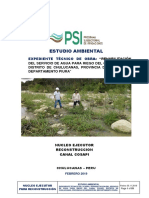 Estudio Ambiental COSAPI 26 FEB 19