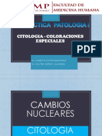 Practica # 01 Usmp - Citologia Exfoliativa