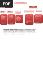 Entrega 7 Semana Mapa Conceptual y Estructura Organizacional