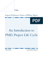 Preparing For Capm Pmi