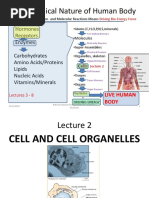 Biochemistry Lecture 2 Cell and Organelles