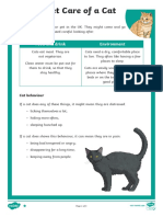 Pet Care of A Cat Differentiated Reading Comprehension Activity PDF