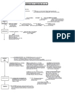 Esquema Del Proceso Legislativo