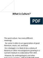 What Is Culture?