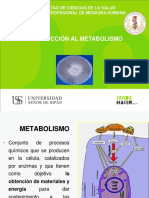 Introduccion Al Metabolismo