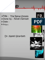 Physiology, Lecture 8, The Renal System (Lecture Notes)