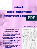 Lecture 6 Breach Presentation Transversal Oblique Lie