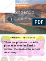 Exogenic Processes: Earth Materials and Processes