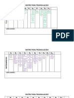 Matriz para Triangulacion Liz