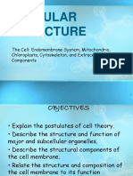 Cellular Structure: The Cell: Endomembrane System, Mitochondria, Chloroplasts, Cytoskeleton, and Extracellular Components