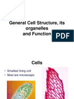 General Cell Structure, Its Organelles and Function