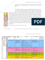 Programa-Funciones - Ejecutivas PDF