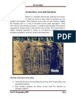 Soil Root Interface PDF