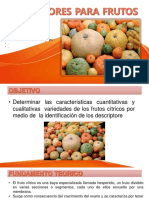 Frutos Citricos