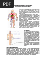 Polaridade Energética em Nossos Corpos