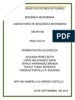 Fermentación Alcohólica