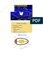 Poultry Terms