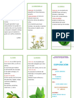 Triptico Plantas Medicinales