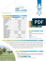 Ficha Oxiclor 01 PDF