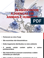 Aula Microvet Micologia PDF