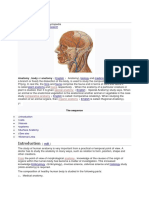 Anatomy: Jump To Navigationjump To Search