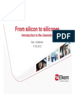 From Silicon To Silicones