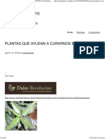 Plantas Que Ayudan A Curar El Cancer Josep Pamies Blog PDF