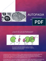 Autofagia