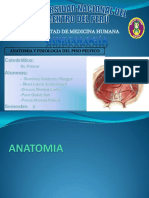 Anatomia y Fisiologia PISO PELVICO PDF